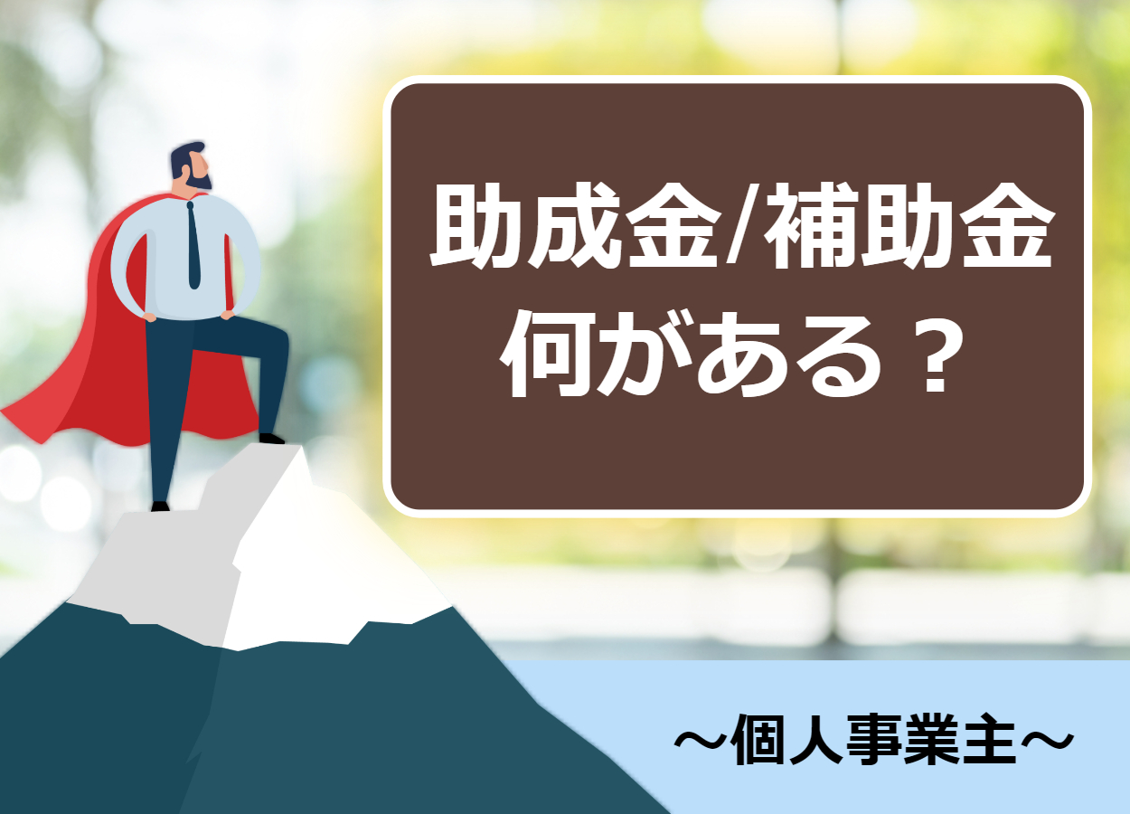 【起業前含む】個人事業主向けの助成金/補助金の違いと種類